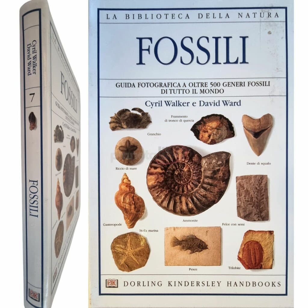 Fossili Guida fotografica a oltre 500 generi fossili di tutto il mondo