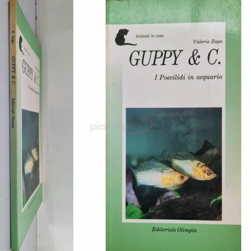 Guppy & C. I Poecilidi in acquario