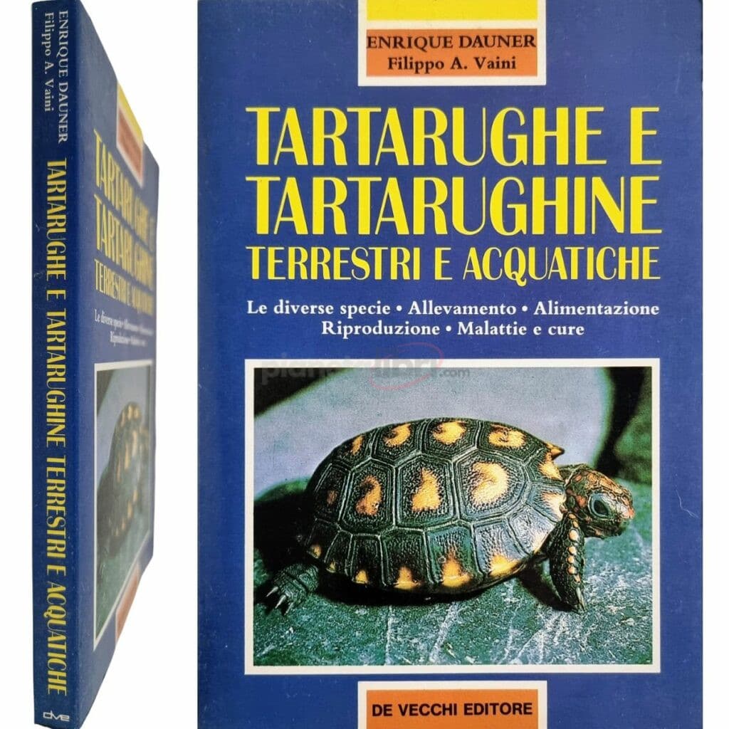 Tartarughe e tartarughine terrestri e acquatiche
