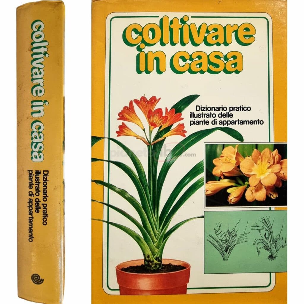 coltivare in casa Dizionario pratico illustrato delle piante di appartamento